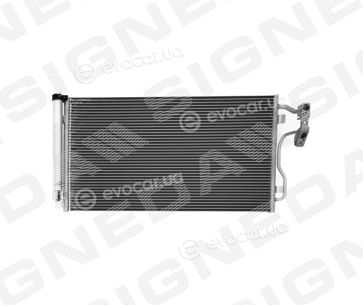 Signeda RC940236Q