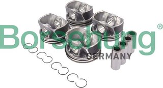 Borsehung B11147