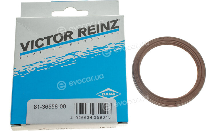 Victor Reinz 81-36558-00