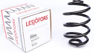 Lesjofors 4208417