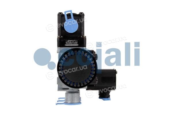 Cojali 2209454