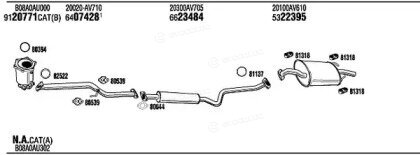 Walker / Fonos NIH16275C