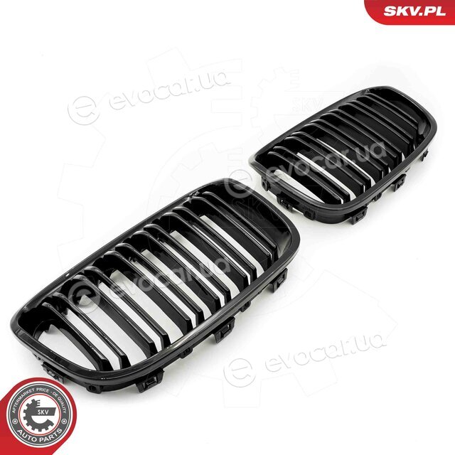 SKV 66SKV016