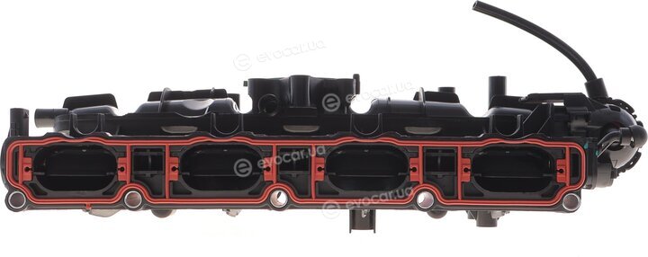 Solgy 114275