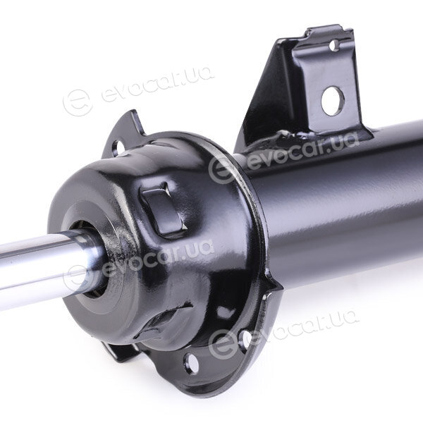Ridex 854S1093