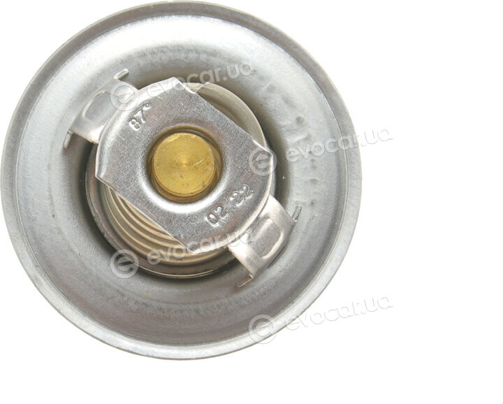 Wahler / BorgWarner 3141.87D