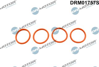 Dr. Motor DRM01757S
