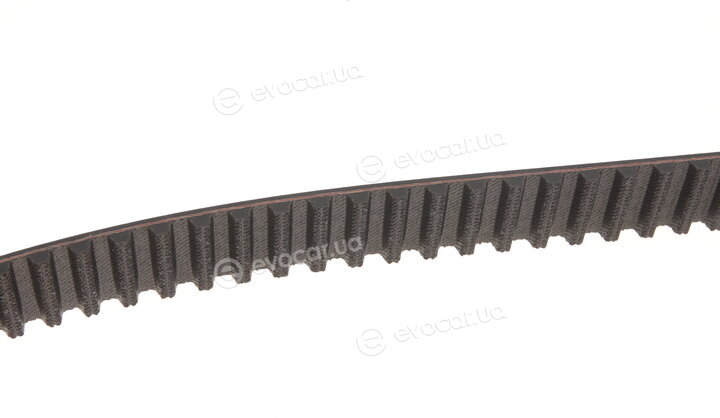 Gates KP35524XS
