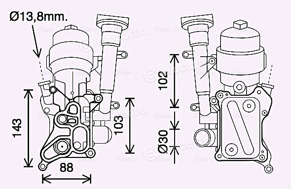 AVA OL3686H