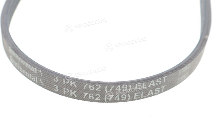 Continental 3PK762 ELAST