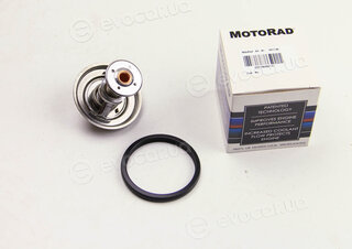 Motorad 417-88K