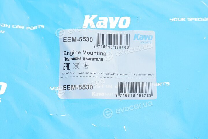 Kavo EEM-5530