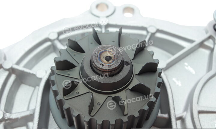 Borsehung B15313