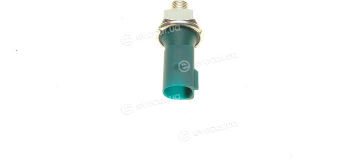 Borsehung B18279
