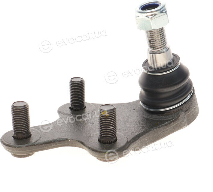 Solgy 203135