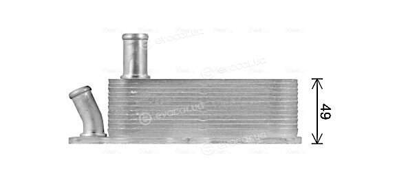 AVA FD3684
