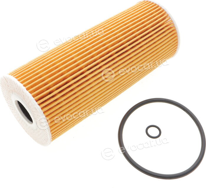 Solgy 101008