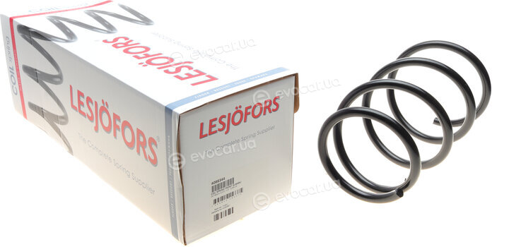 Lesjofors 4088344