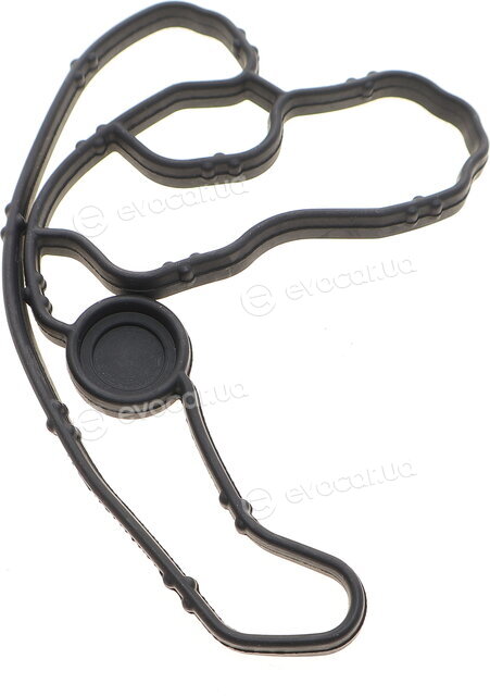 Elring 697.470
