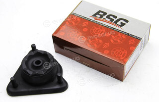 BSG BSG 30-700-011
