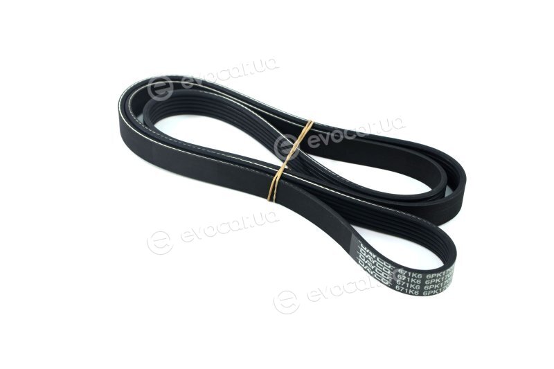 Dayco 6PK1705
