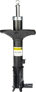 Raiso RS313844