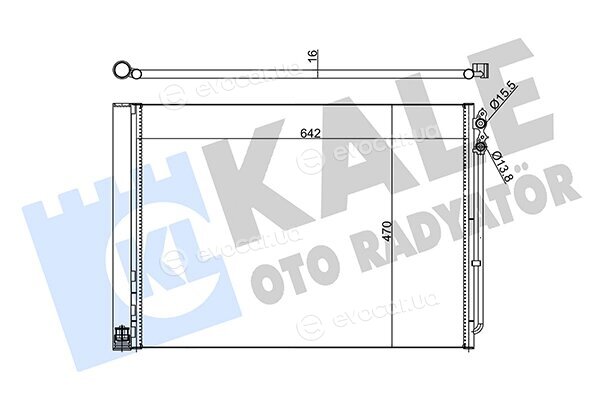 Kale 342415