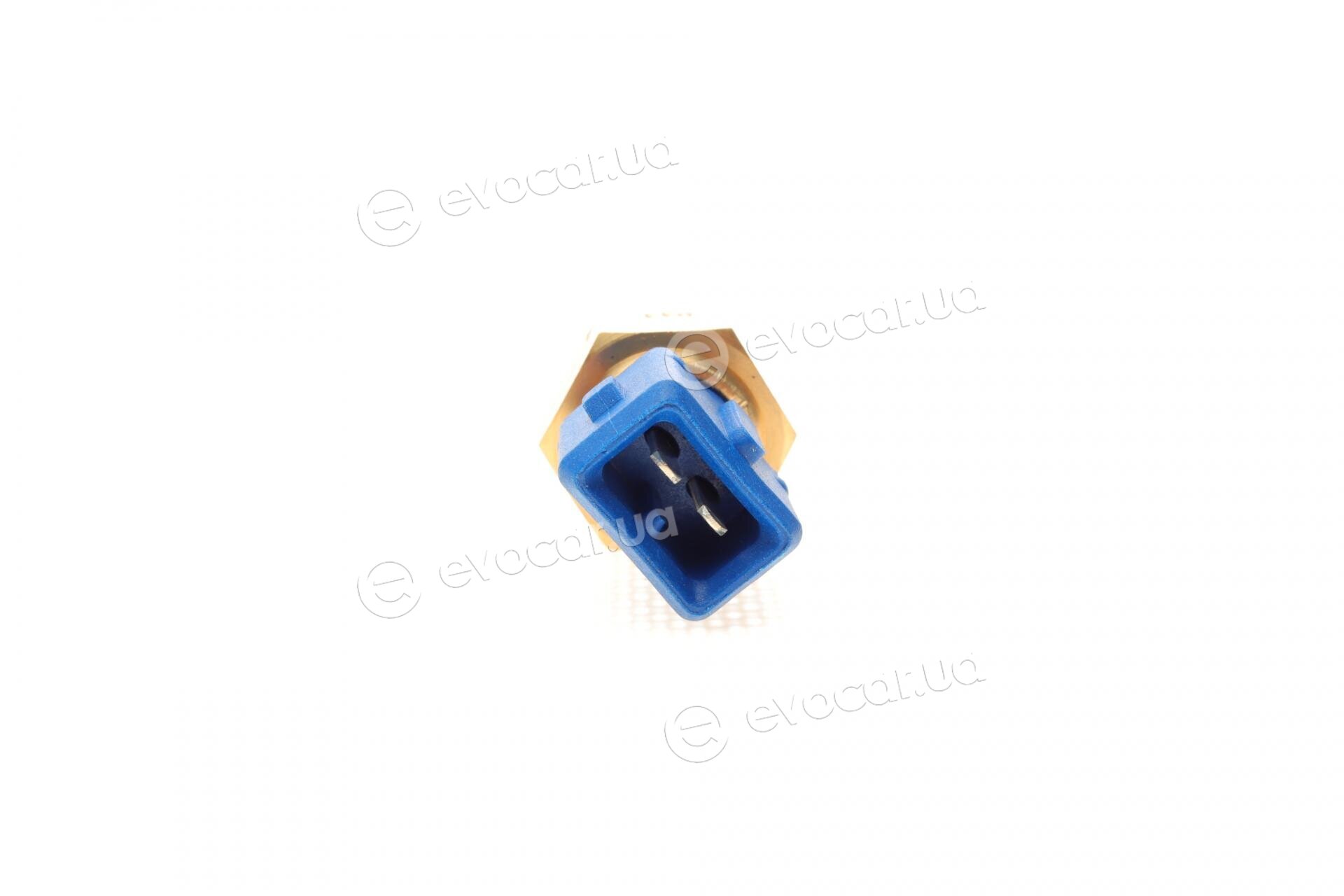 FAE 33100