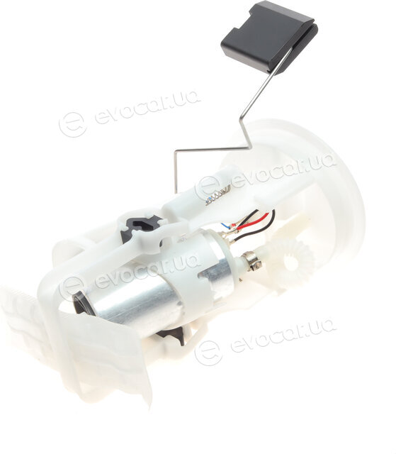 AIC 56207