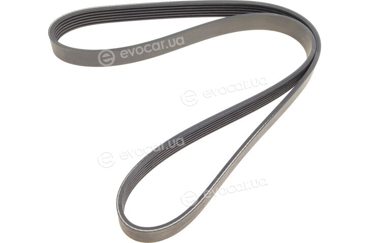 Dayco 6PK1163