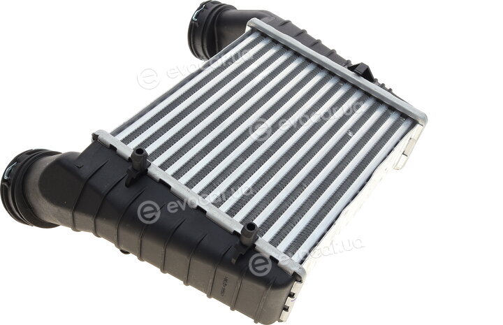 Van Wezel 58004238