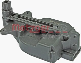 Metzger 0917095