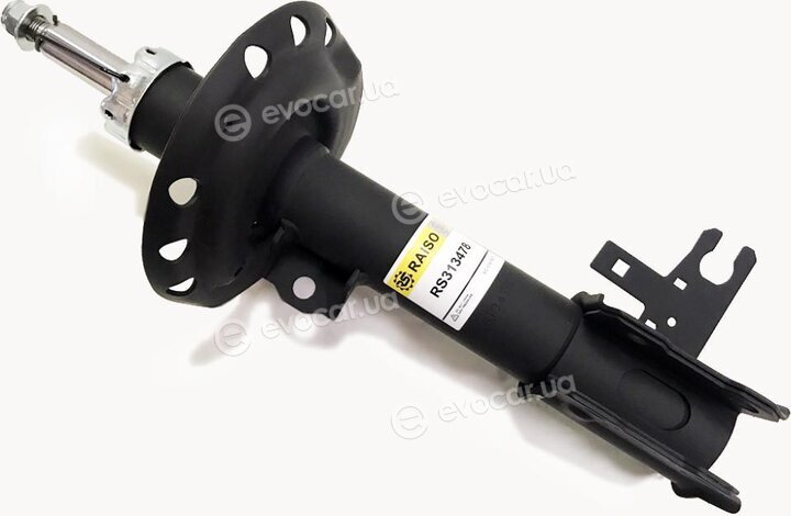 Raiso RS313478