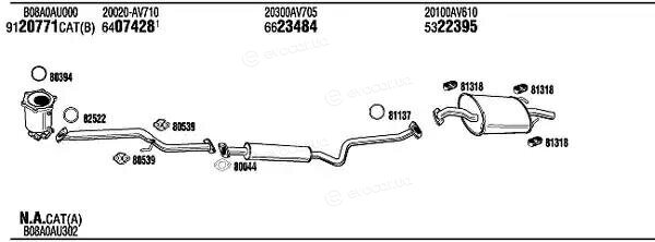 Walker / Fonos NIH16275C