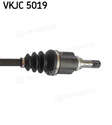 SKF VKJC 5019