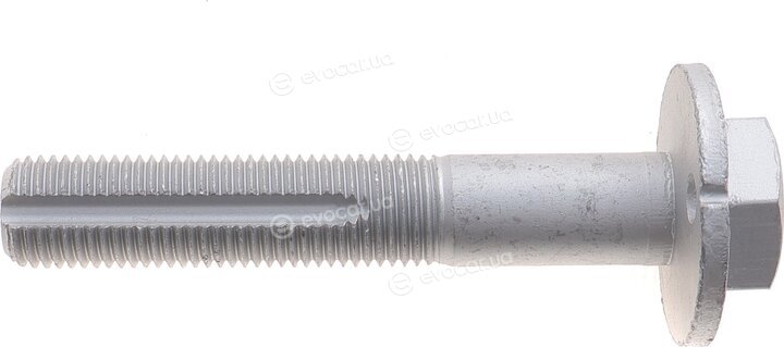 Solgy 204253