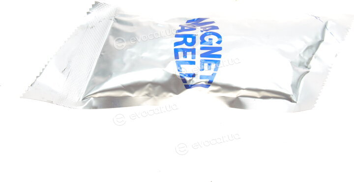 Magneti Marelli 302015100287