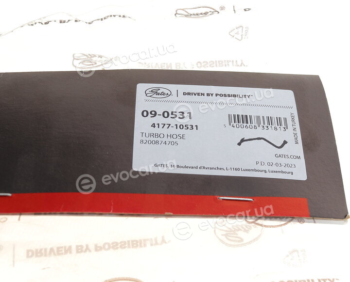 Gates 09-0531