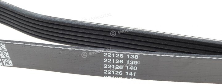 Dayco 6PK2605