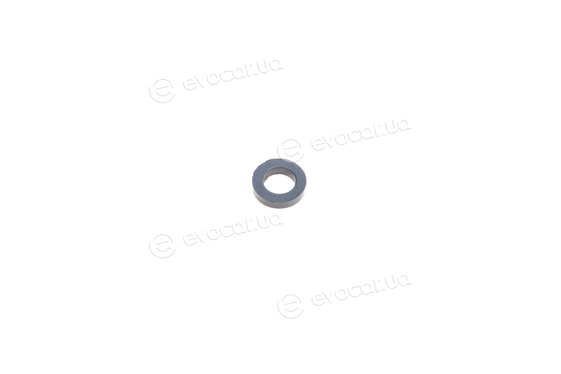 Frenkit 240919