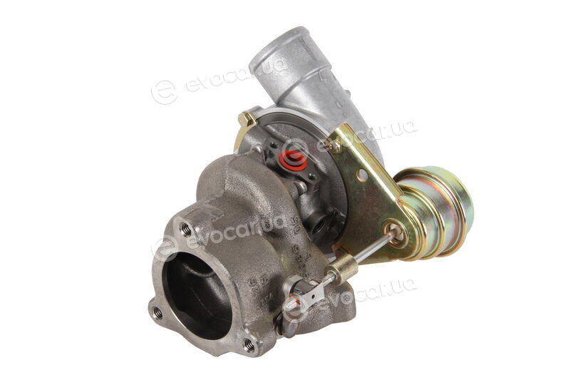 BorgWarner 53039880005