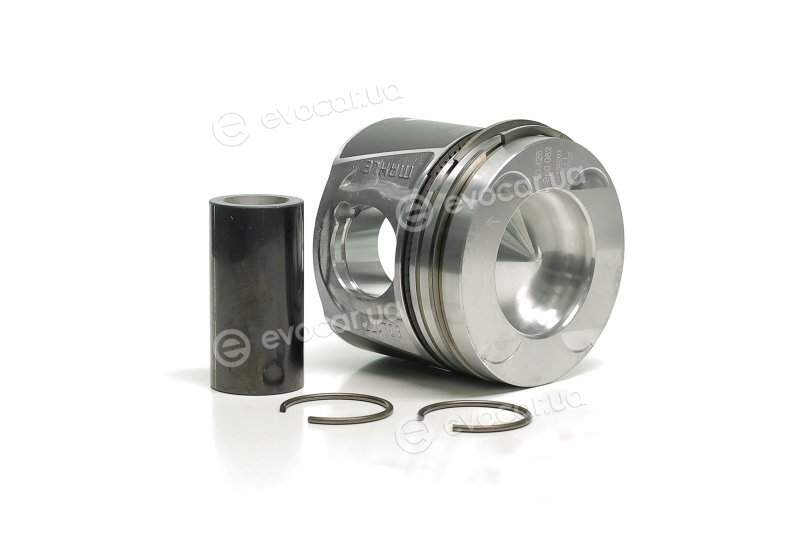 Mahle 021 PI 00125 002