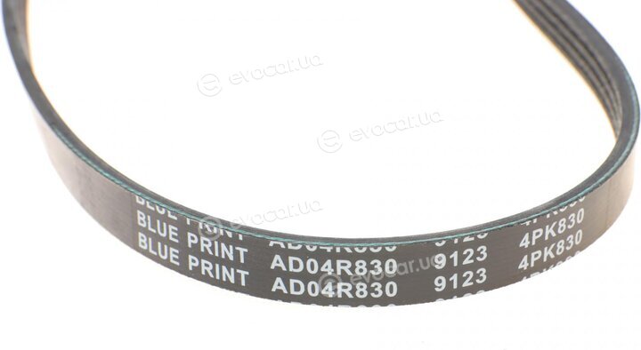 Blue Print AD04R830