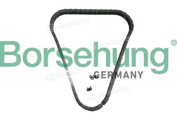 Borsehung B13341