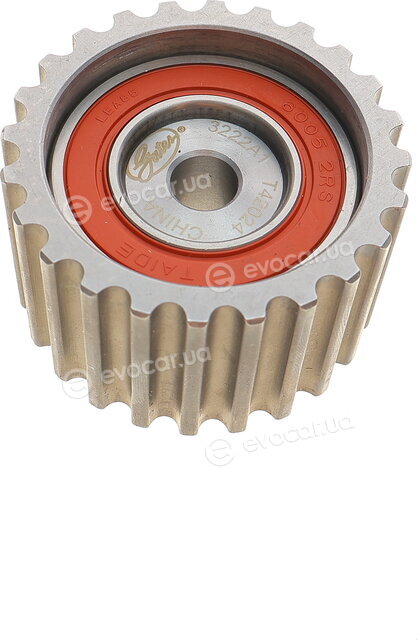 Gates K015384XS