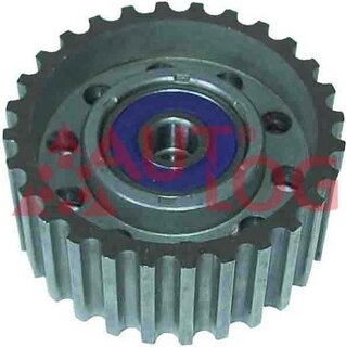 Autlog RT1079