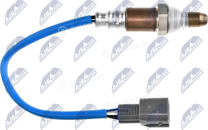 NTY ESL-SB-013
