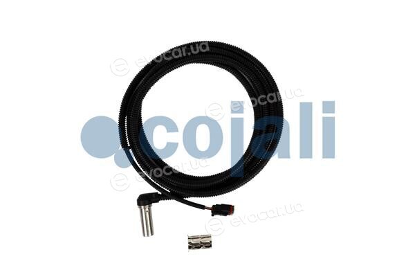 Cojali 2261031