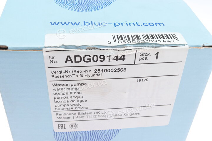 Blue Print ADG09144