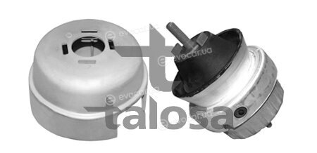 Talosa 61-06581